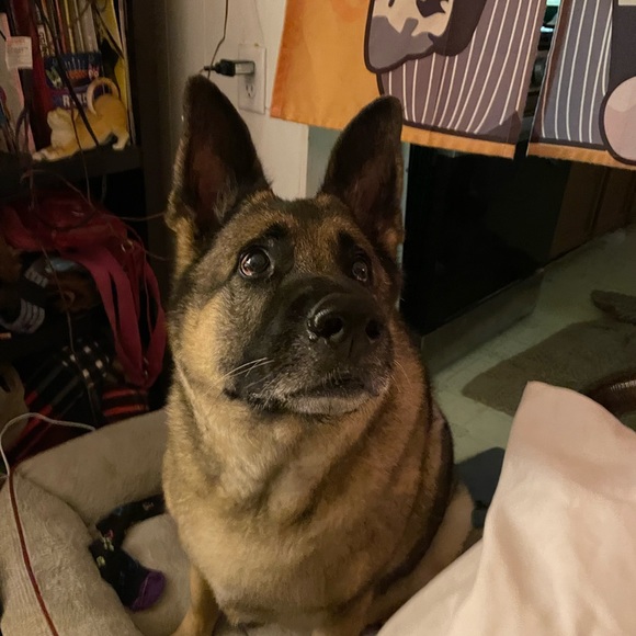 Live listing please like and share if you want to know when I’m Live - Picture 8 of 14